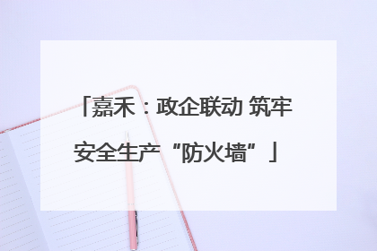 嘉禾：政企联动 筑牢安全生产“防火墙”
