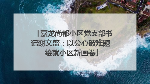 嘉龙尚都小区党支部书记谢文盛：以公心破难题 绘就小区新画卷