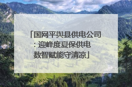 国网平舆县供电公司：迎峰度夏保供电  数智赋能守清凉