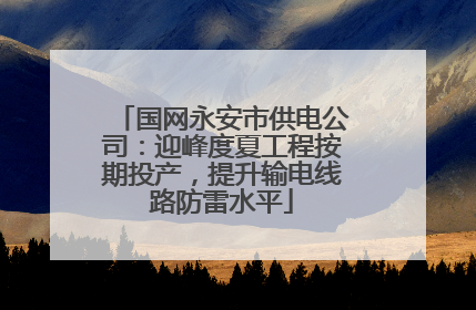 国网永安市供电公司：迎峰度夏工程按期投产，提升输电线路防雷水平