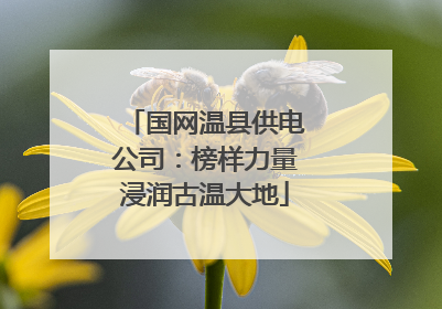 国网温县供电公司：榜样力量浸润古温大地