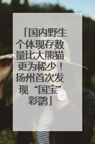 国内野生个体现存数量比大熊猫更为稀少！扬州首次发现“国宝”彩鹮