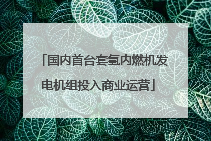 国内首台套氢内燃机发电机组投入商业运营