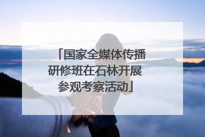 国家全媒体传播研修班在石林开展参观考察活动
