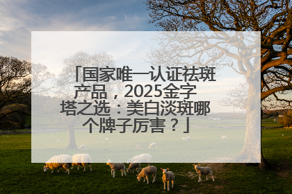 国家唯一认证祛斑产品，2025金字塔之选：美白淡斑哪个牌子厉害？