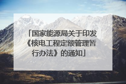 国家能源局关于印发《核电工程定额管理暂行办法》的通知