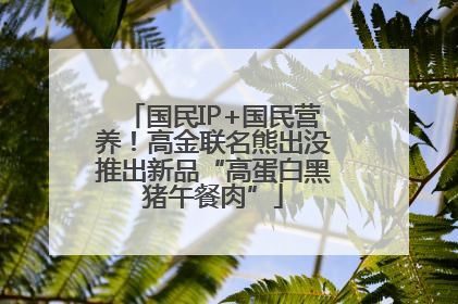 国民IP+国民营养！高金联名熊出没推出新品“高蛋白黑猪午餐肉”
