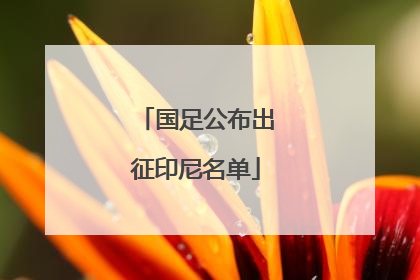 国足公布出征印尼名单