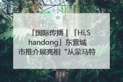 国际传播｜「Hi,Shandong」东营城市推介展亮相“从蒙马特到加里波第”文化节