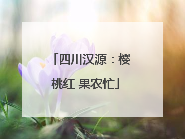四川汉源：樱桃红 果农忙