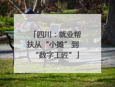 四川：就业帮扶从“小摊”到“数字工匠”