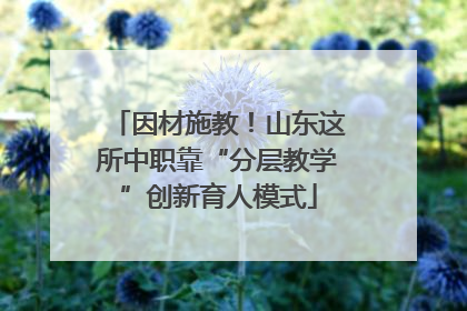 因材施教！山东这所中职靠“分层教学”创新育人模式