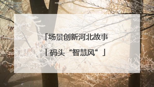 场景创新河北故事丨码头“智慧风”