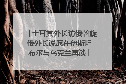 土耳其外长访俄斡旋 俄外长说愿在伊斯坦布尔与乌克兰再谈
