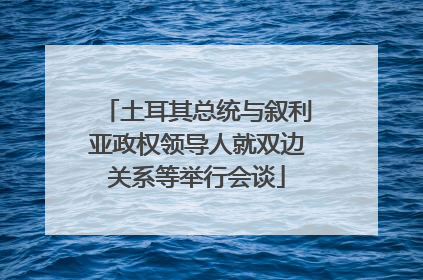 土耳其总统与叙利亚政权领导人就双边关系等举行会谈