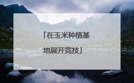 在玉米种植基地展开竞技