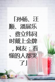 孙杨、汪顺、潘展乐、费立纬同时戴上金牌，网友：看懂的人都哭了