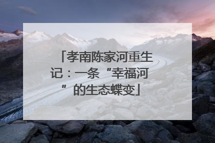 孝南陈家河重生记：一条“幸福河”的生态蝶变