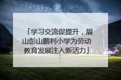学习交流促提升，眉山彭山鹏利小学为劳动教育发展注入新活力