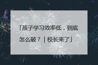 孩子学习效率低，到底怎么破？｜校长来了
