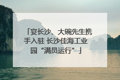 宴长沙、大碗先生携手入驻 长沙佳海工业园“满员运行”