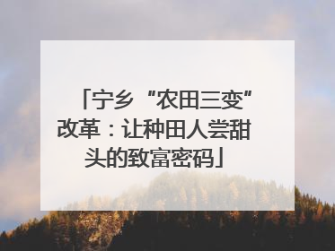 宁乡“农田三变”改革：让种田人尝甜头的致富密码