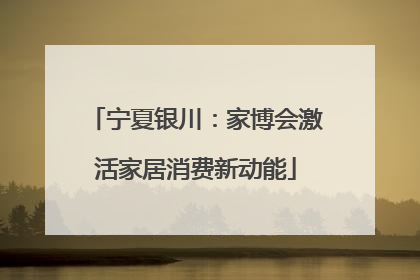 宁夏银川：家博会激活家居消费新动能