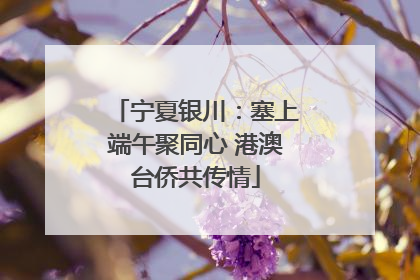 宁夏银川：塞上端午聚同心 港澳台侨共传情