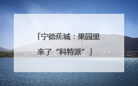 宁德蕉城：果园里来了“科特派”