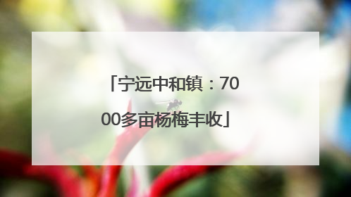 宁远中和镇：7000多亩杨梅丰收