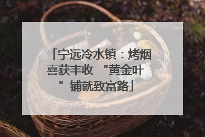 宁远冷水镇：烤烟喜获丰收 “黄金叶”铺就致富路