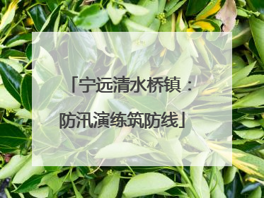 宁远清水桥镇：防汛演练筑防线