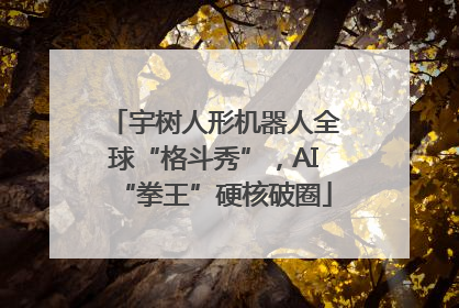 宇树人形机器人全球“格斗秀”，AI“拳王”硬核破圈