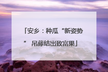安乡：种瓜“新姿势” 吊藤结出致富果
