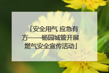 安全用气 应急有方——杨园城管开展燃气安全宣传活动
