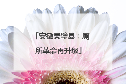 安徽灵璧县：厕所革命再升级