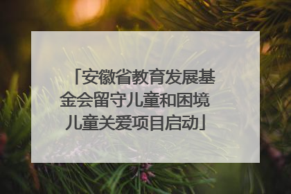 安徽省教育发展基金会留守儿童和困境儿童关爱项目启动