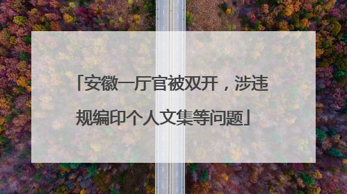 安徽一厅官被双开，涉违规编印个人文集等问题
