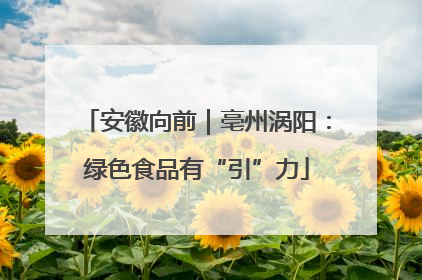 安徽向前｜亳州涡阳：绿色食品有“引”力