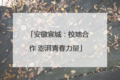 安徽宣城：校地合作 澎湃青春力量