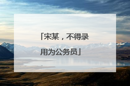 宋某，不得录用为公务员