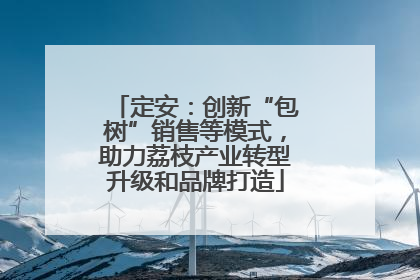定安：创新“包树”销售等模式，助力荔枝产业转型升级和品牌打造