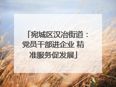 宛城区汉冶街道：党员干部进企业 精准服务促发展