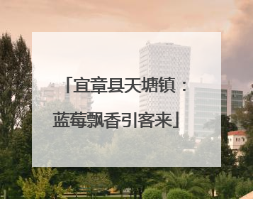 宜章县天塘镇：蓝莓飘香引客来