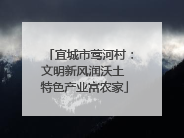 宜城市莺河村：文明新风润沃土 特色产业富农家