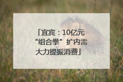 宜宾：10亿元“组合拳”扩内需 大力提振消费