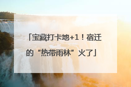 宝藏打卡地+1！宿迁的“热带雨林”火了