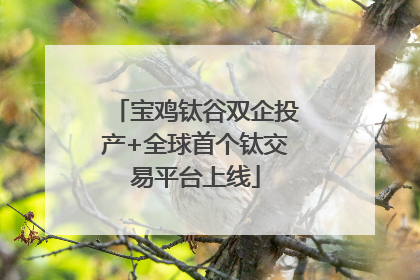 宝鸡钛谷双企投产+全球首个钛交易平台上线