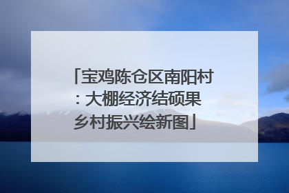 宝鸡陈仓区南阳村：大棚经济结硕果 乡村振兴绘新图