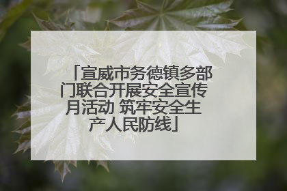 宣威市务德镇多部门联合开展安全宣传月活动 筑牢安全生产人民防线